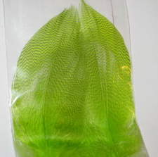 mallard barred flank LRG select fl chartreuse Wapsi